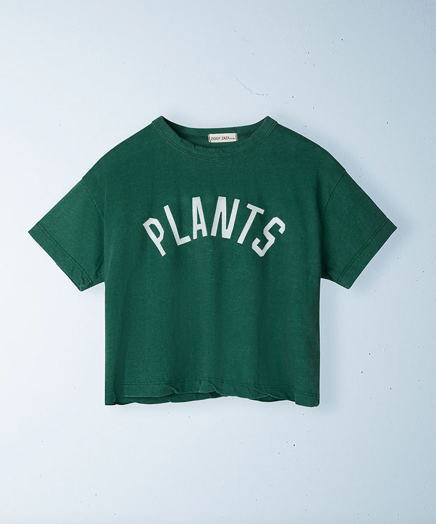 Ziggy Zaza - Plants Tee - Kale Green